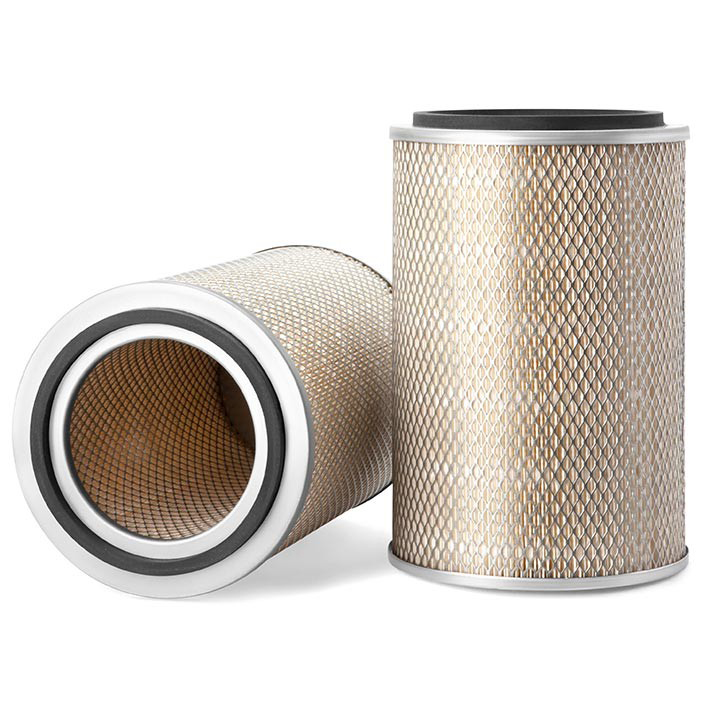 Air Filter 10700086
