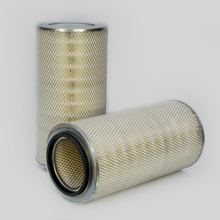 Air Filter 10700087