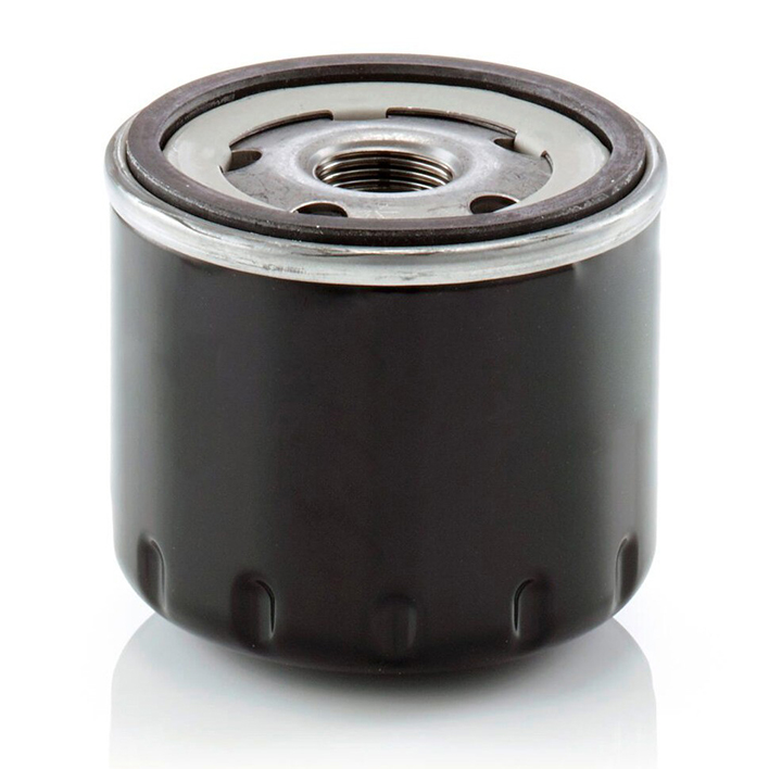 Oil Filter 10101468