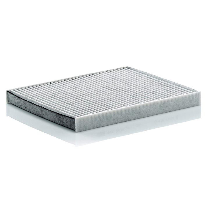 Cabin Filter 10770086