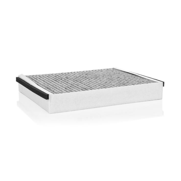 Cabin Filter 10770095