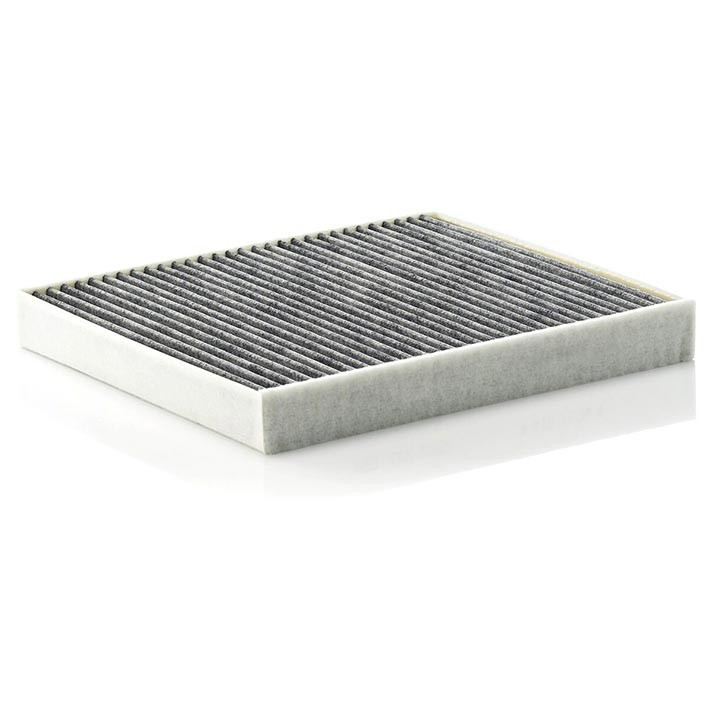 Cabin Filter 10770393