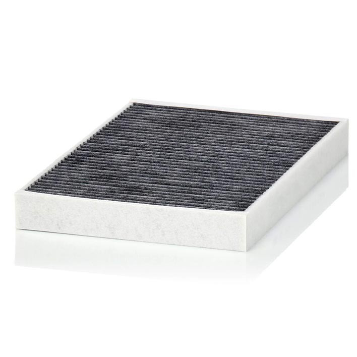 Cabin Filter 10770362