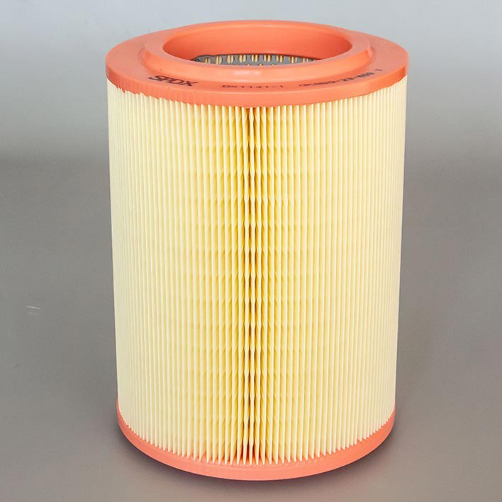 Air Filter 10720188